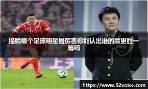 tool-homepage-layout